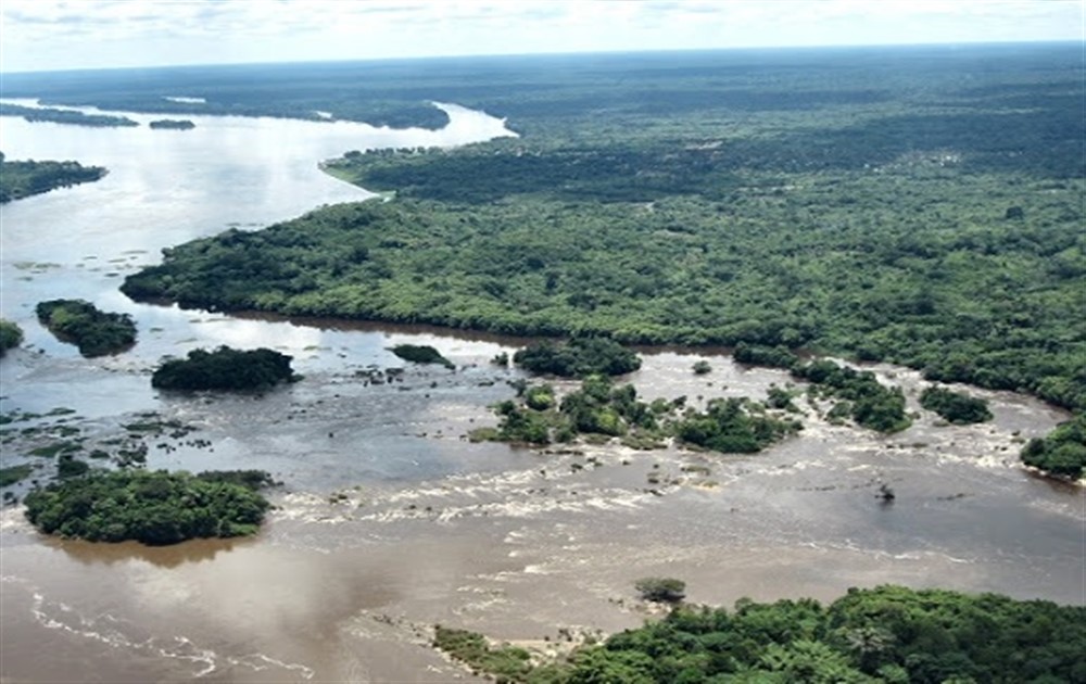 COP 26 :Le Royaume-Uni contribuera  à hauteur de 200 millions de livres sterling dans le cadre d’un nouveau fonds de 1,5 milliard de $ pour protéger le bassin du Congo
