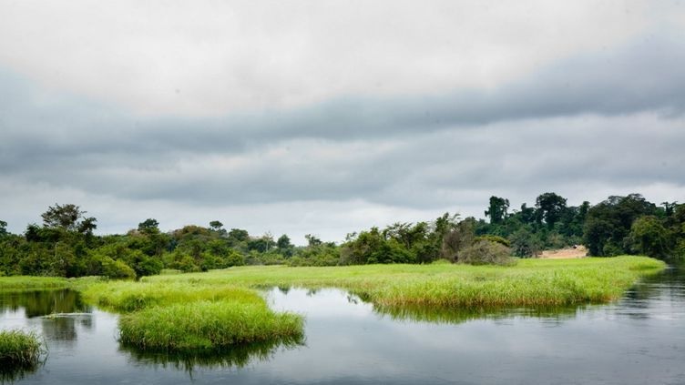 RDC : Les tourbières de Lokolama, insondable piège à carbone