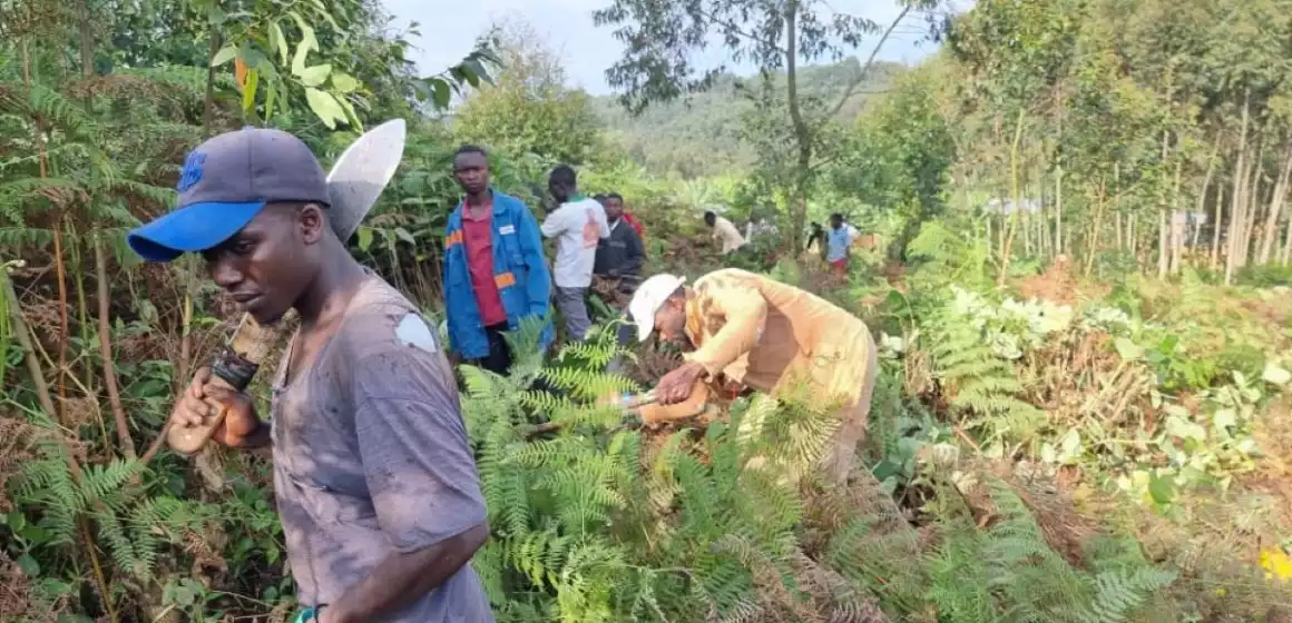 RDC-Ruwenzori : une bombe artisanale fait un mort et 3 blessées graves à Bahatsa