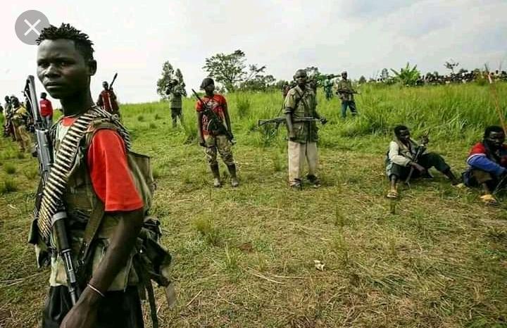RDC-Masisi : Les miliciens Nyatura récupèrent leurs anciens bastions perdus après combat avec les FARDC
