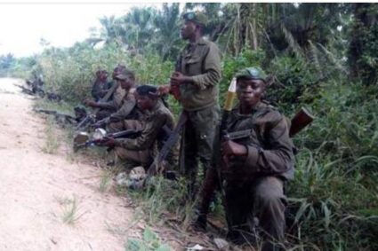 RDC- Beni : 7 terroristes ADF neutralisés par les FARDC dans le secteur de Ruwenzori