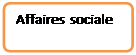 Organigramme : Alternative: Affaires sociale