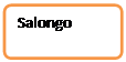 Organigramme : Alternative: Salongo