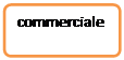 Organigramme : Alternative: commerciale
